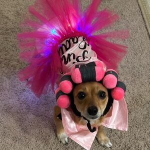 Meet your Posher, Nikki